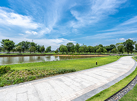 公園（多目的広場等）